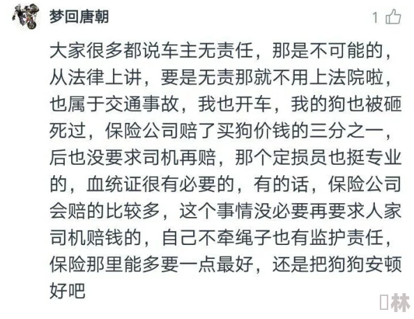 被从小的国师走绳h，最新动态引发热议，网友纷纷讨论其背后的故事与影响力