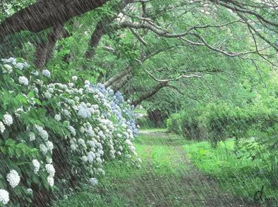 老公因暴雨困在公司妻子家里，夫妻隔空视频通话互诉思念情深，温馨感人引发网友热议