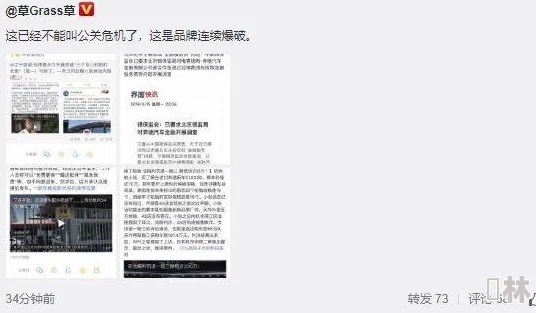 911爆料网吃瓜小羊没烦恼：最新动态曝光，网友热议事件背后的真相与趣事引发广泛关注