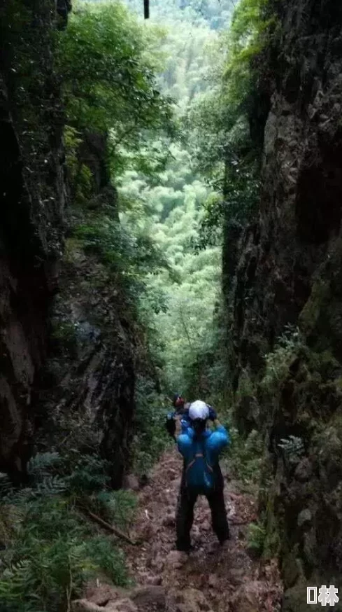 白虎一线天：探寻神秘山脉中的自然奇观与人文历史交融的全新动态