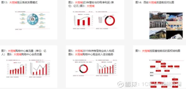 仙踪林company Limited大中国：深度解析其在大中华区的市场战略与未来发展潜力