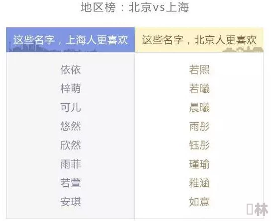 miaomi最新地域网名是什么啥？网友热议，背后竟隐藏着不为人知的秘密！