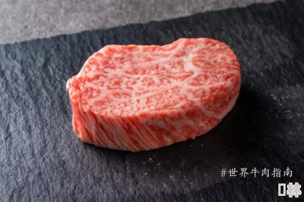 日本肉文日本最新推出的和牛品种在国际美食展上获得大奖，吸引了众多美食爱好者的关注